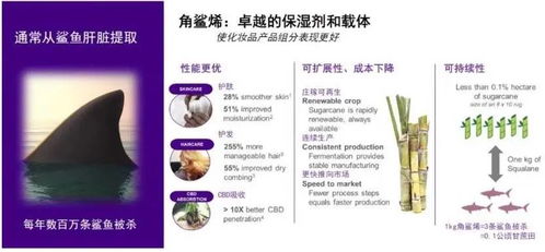 被熱捧的合成賽道,為何 開山鼻祖 卻倒下了