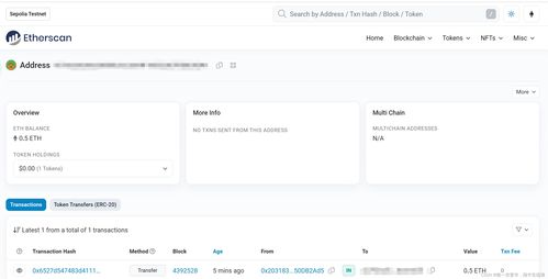 發布以太坊測試網絡中的第一筆交易