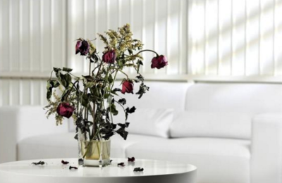 智能云灌溉花盆京東眾籌大獲成功 一鍵&ldquo;云養(yǎng)花&rdquo;時(shí)代來(lái)臨