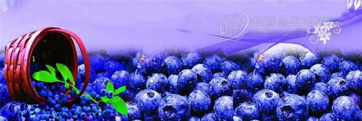 藍莓果酒