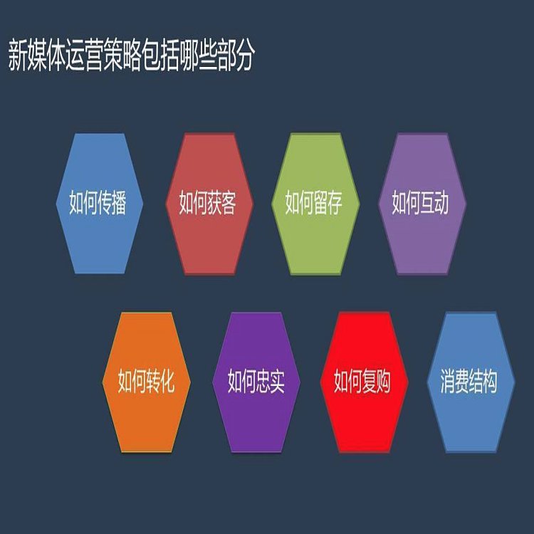 傳播易 新媒體營銷與網絡推廣的互動運營之道